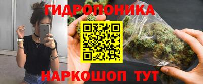 круглые Бийск