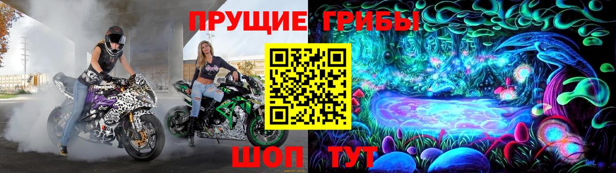 Йошкар-Ола  Псилоцибиновые грибы Magic Shrooms  продажа наркотиков  Псилоцибиновые грибы Psilocybe  Вход с VPN 