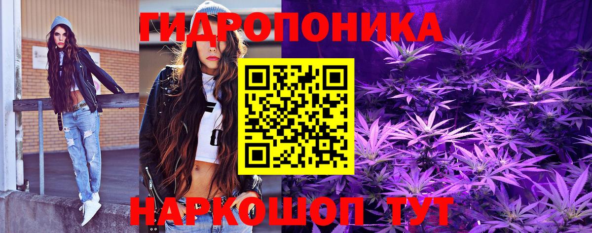 Марихуана OG Kush Йошкар-Ола